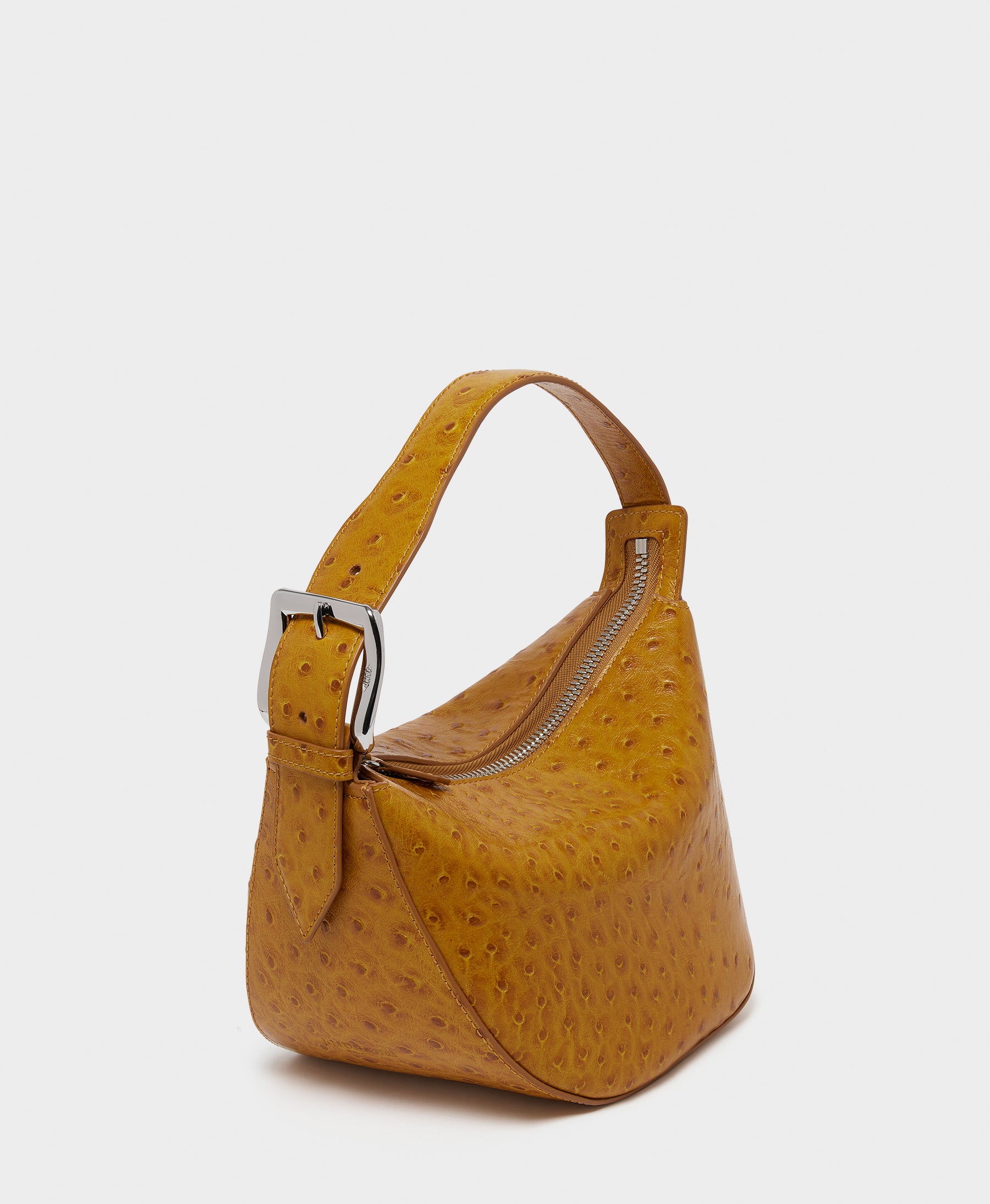 Zip Quiver
