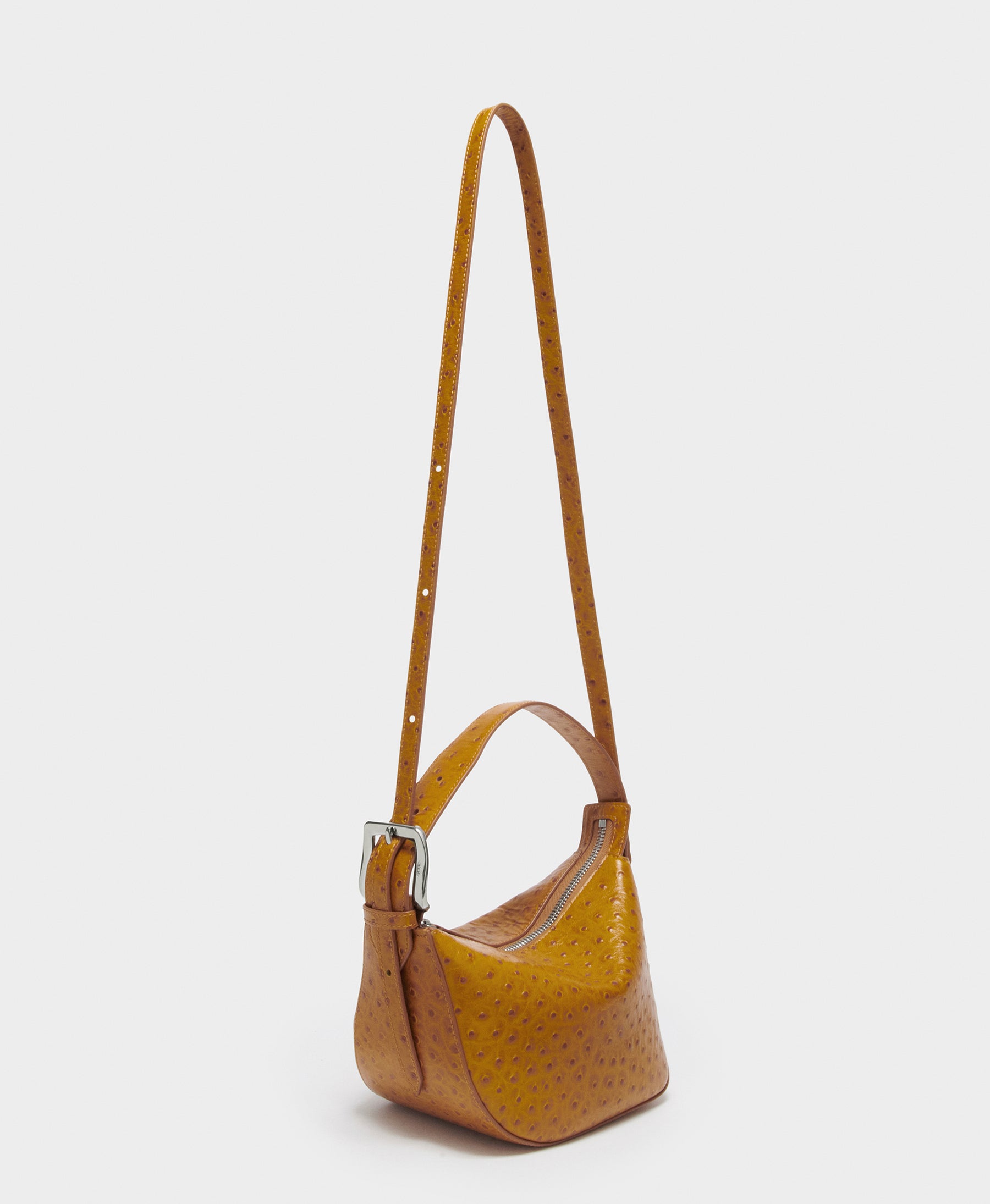 Zip Quiver
